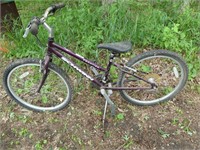 Schwinn Bicycle