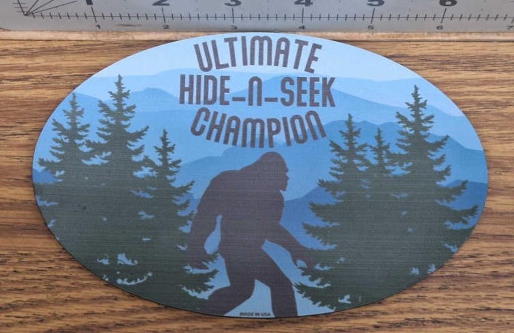 Ultimate hide-n-seek champion