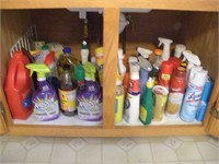 Contents of Kitchen Cabinet - Cleaning Supplies