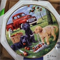 "pick of the crop" collector plate w/certificate
