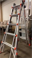 Little Giant Leveler ladder system