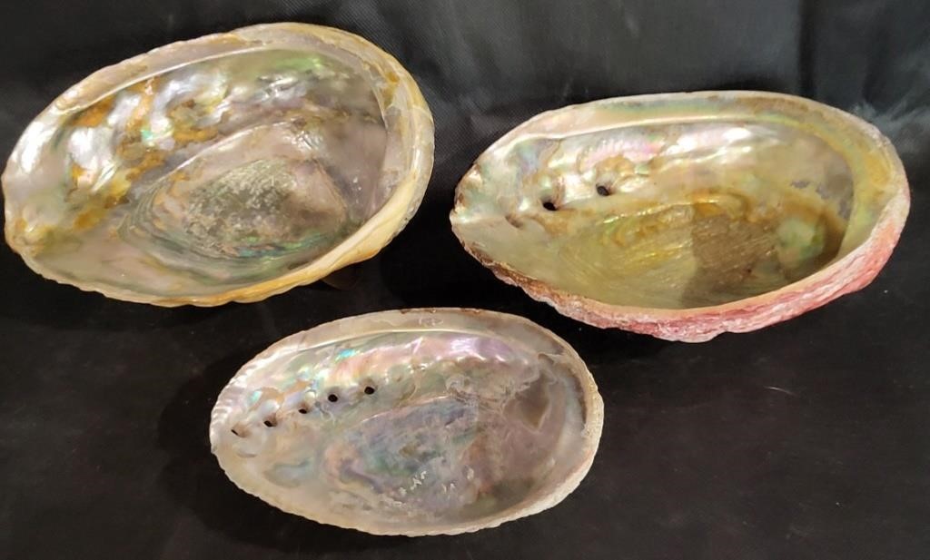 VTG Abalone Shell Bowls