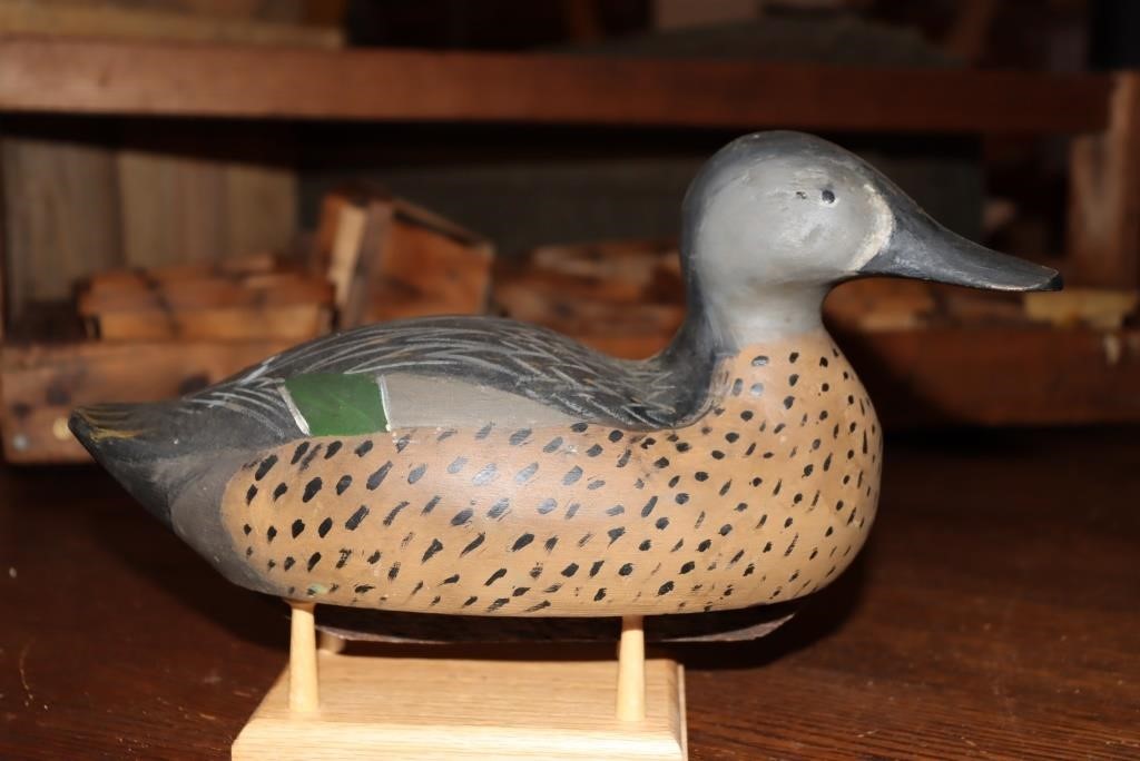 Drake blue wing teal decoy (does not include