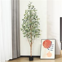 W6523  DR.Planzen 6 ft Eucalyptus Tree