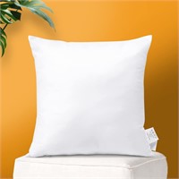 OTOSTAR Throw Pillow Insert 20 x 20 Inch Premium F