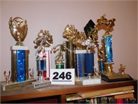 LOT OF TROPHIES-MOTORCYCLE & SPORTS