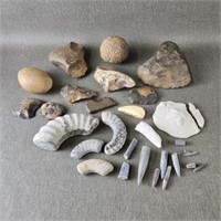 Collection of Fossil Pieces & Neolithic Rock from