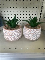 Pair of faux succulents in ceramic bases