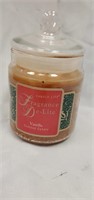 Fragrance DeLight Vanilla 20oz Candle