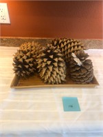 Pinecone lot #106