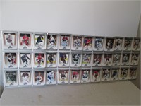 LOT ASSORTED HOCKEY CARDS IN SLEEVES