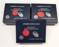 2012, (2) ’13 Proof Silver Eagles