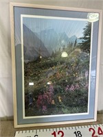 Floral Framed Photograph Print