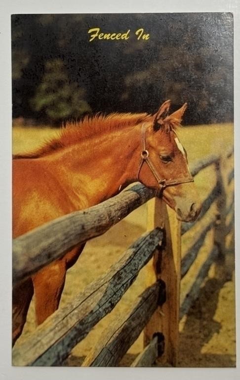Vintage RPPC Postcard Dexter Press Fenced In!