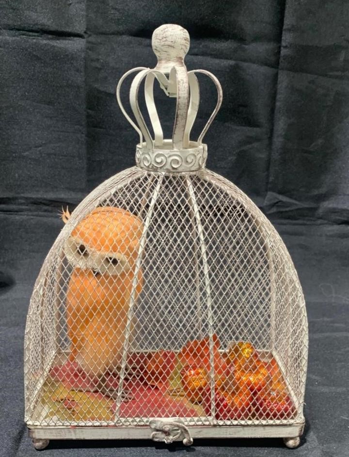 Metal Bird Cage & Owl