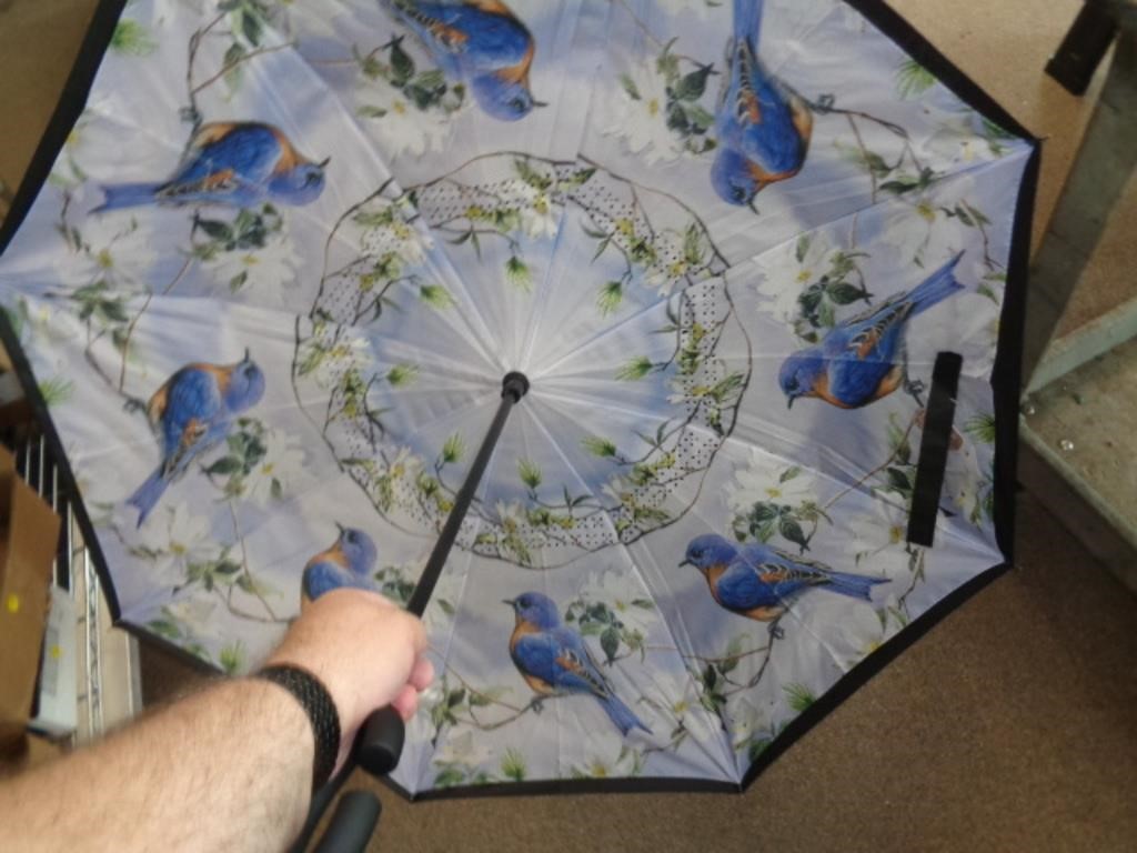 BLUEBIRD UMBRELLA