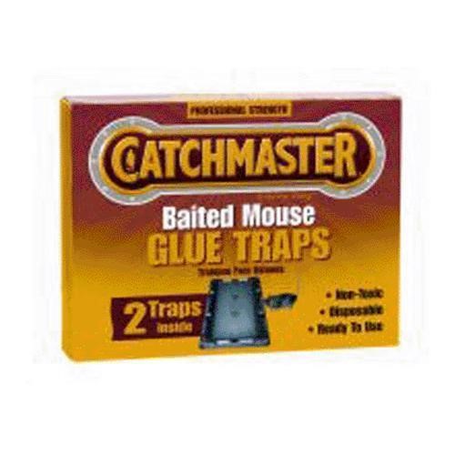 102 2PK C Mast Mouse Gl Trap Case of 24