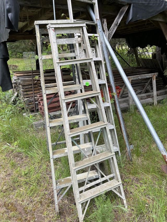 (3) Aluminum 6 Foot Step Ladders & Single Extensio