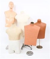 DISPLAY TORSO LOT OF 5