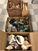 Collection of Minerals, Gemstones and Sea Shells