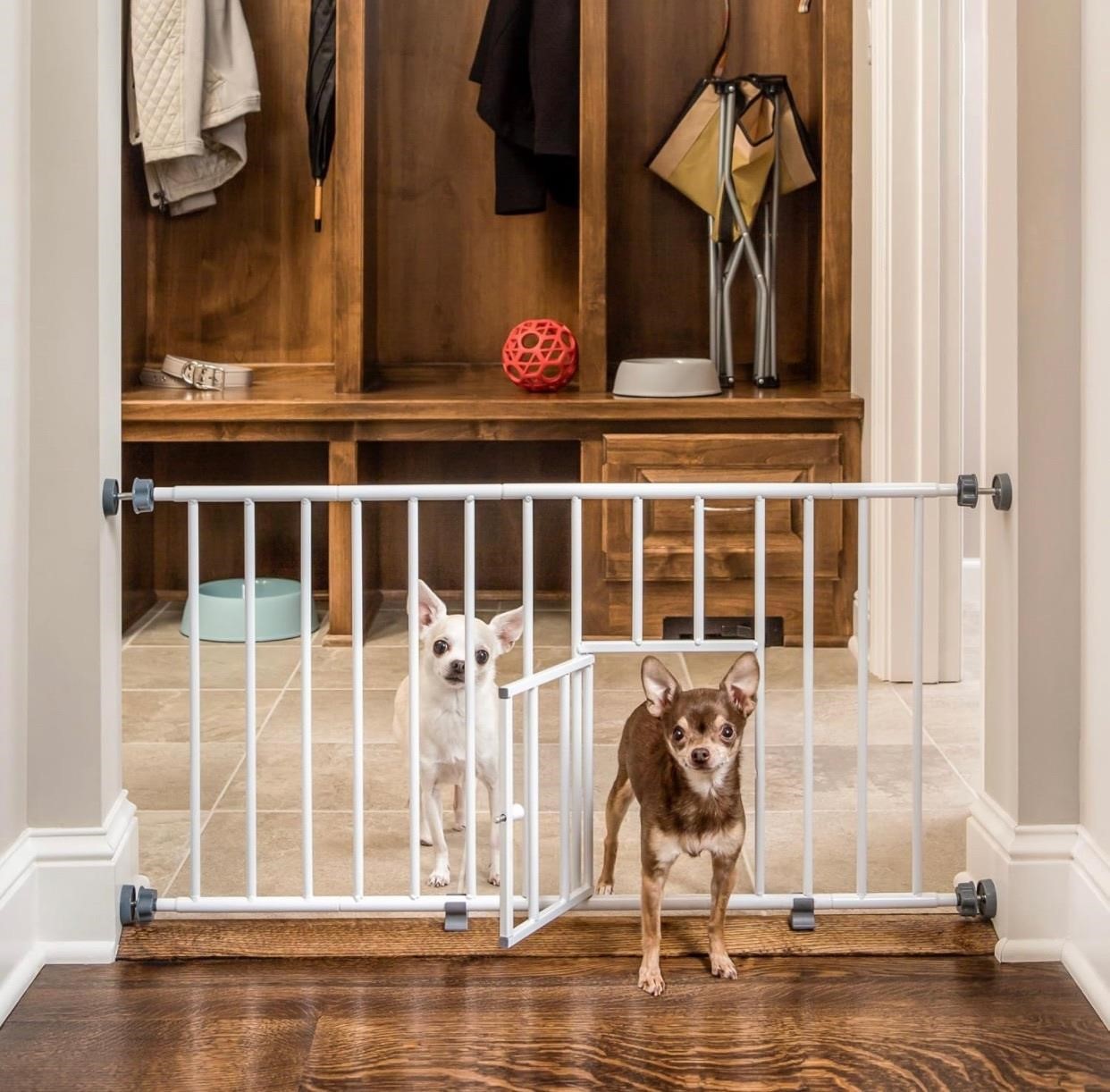 Carlson Pet Products 0680PW Mini Gate with Pet