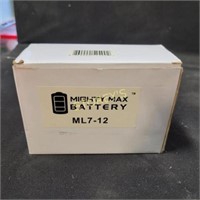 Mighty Max Battery