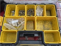 Dewalt organizer w/ assortment bolts, washers,