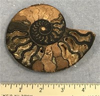 4 1/2" ammonite fossil   (a 7)