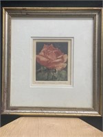 Signed Numbered Hand Colored Etching - G.H. Rothe