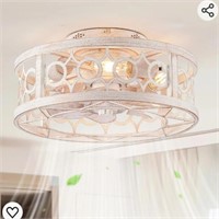 LEDIARY Caged Ceiling Fan with Light and Remote,