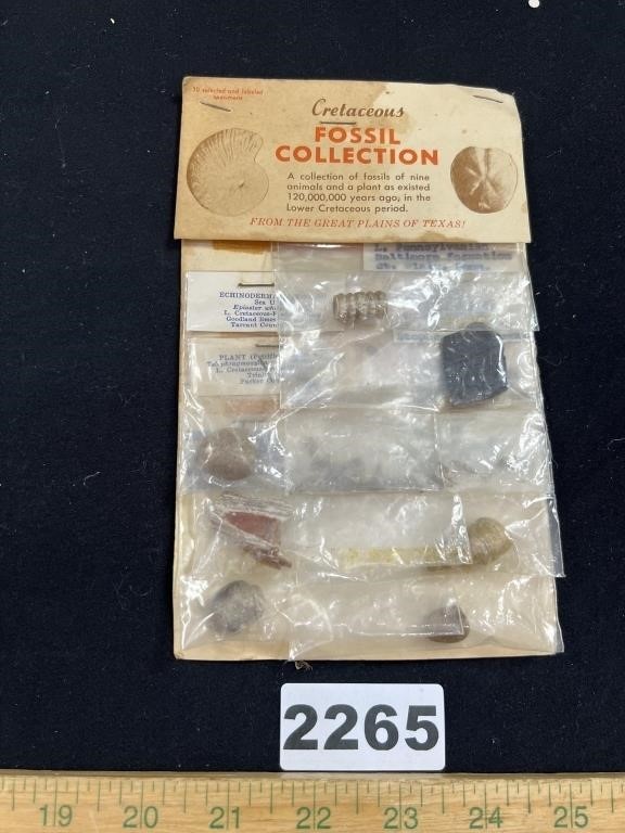 NOS Fossil Collection