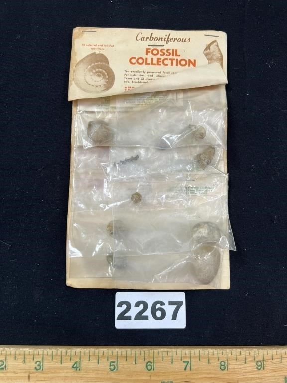 NOS Fossil Collection