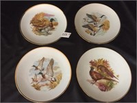 4 - 8" Duck Plates by JKW