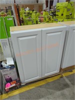 30" x 13" x 35" white wall cabinet