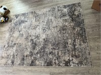 5'x7' area rug