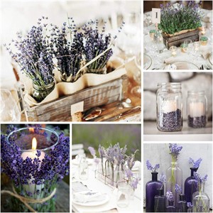 $61 Lavender Dried Flowers 5 Bunches