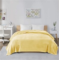 Oversized Plush Microlight Bed Blanket, King