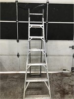 COMBINATION STEP EXTENSION LADDER