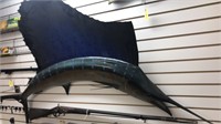 Sail Fish Mount, 78" Length