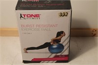 New Tone Fitness Burst resistant exercise ball