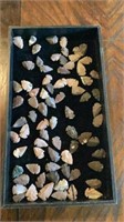 Arrowhead Collection Mainly Harvested From