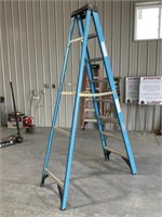 8ft Werner Step Ladder