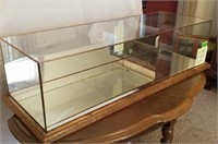 Glass Display Case w/Mirrored Bottom