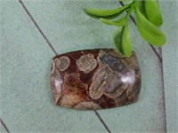 CABOCHON ROCK STONE LAPIDARY SPECIMEN