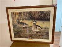 Large duck picture - size in pictures