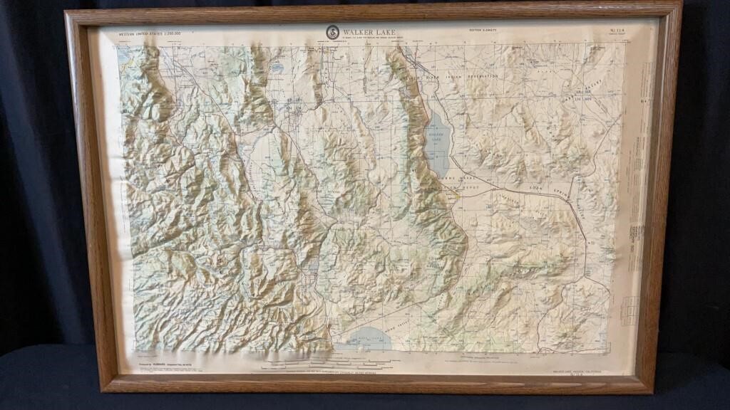 Vintage topographical map of Walker Lake
