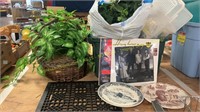 Artificial Greenery, Plates, Grate, Albums