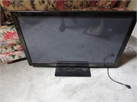 Panasonic Viesa Flat Screen 42" TV