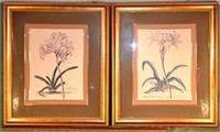 2 framed botanical prints