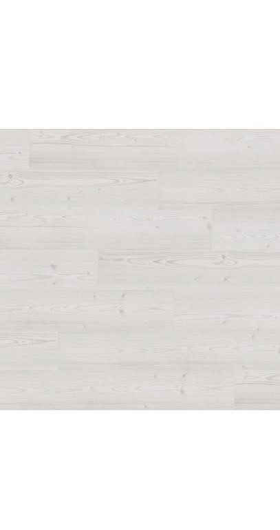 $65.00 STAINMASTER - Sanderling Spruce Off-white